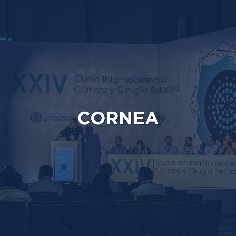 CORNEA